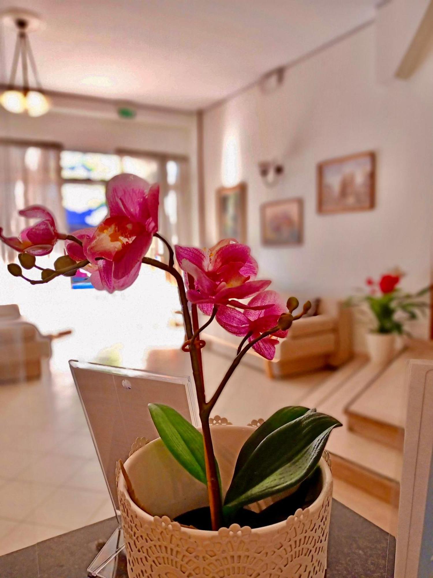 Hotel Rossella ริมินี ภายนอก รูปภาพ